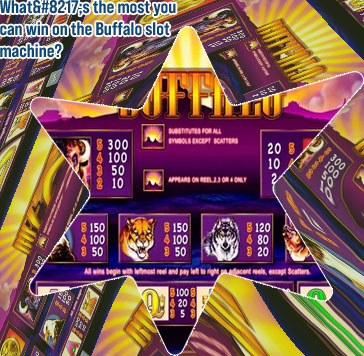 Buffalo video slot machine