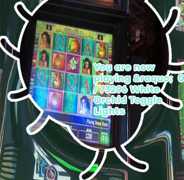 Free white orchid slot machine play