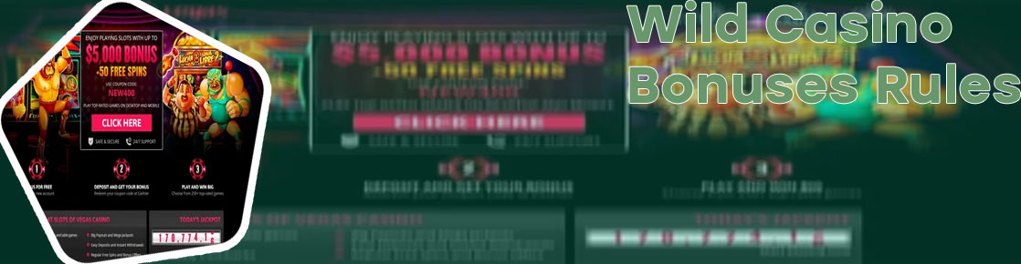 Wild slots no deposit bonus codes